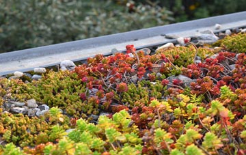 the cost of Newtongrange green roof installation