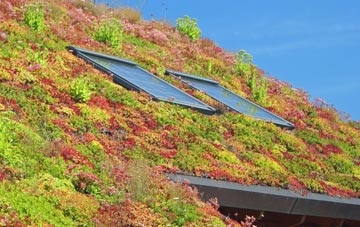 Newtongrange living roof systems