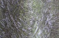 Newtongrange fibreglass roof work